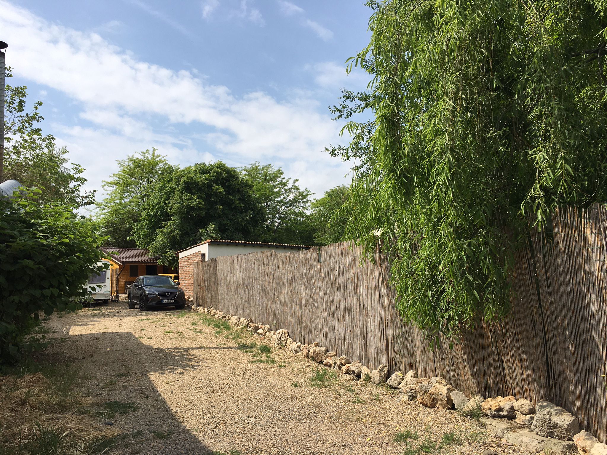 Bamboo fence and willow tree at the Magic Garden parking entrance, Vama Veche