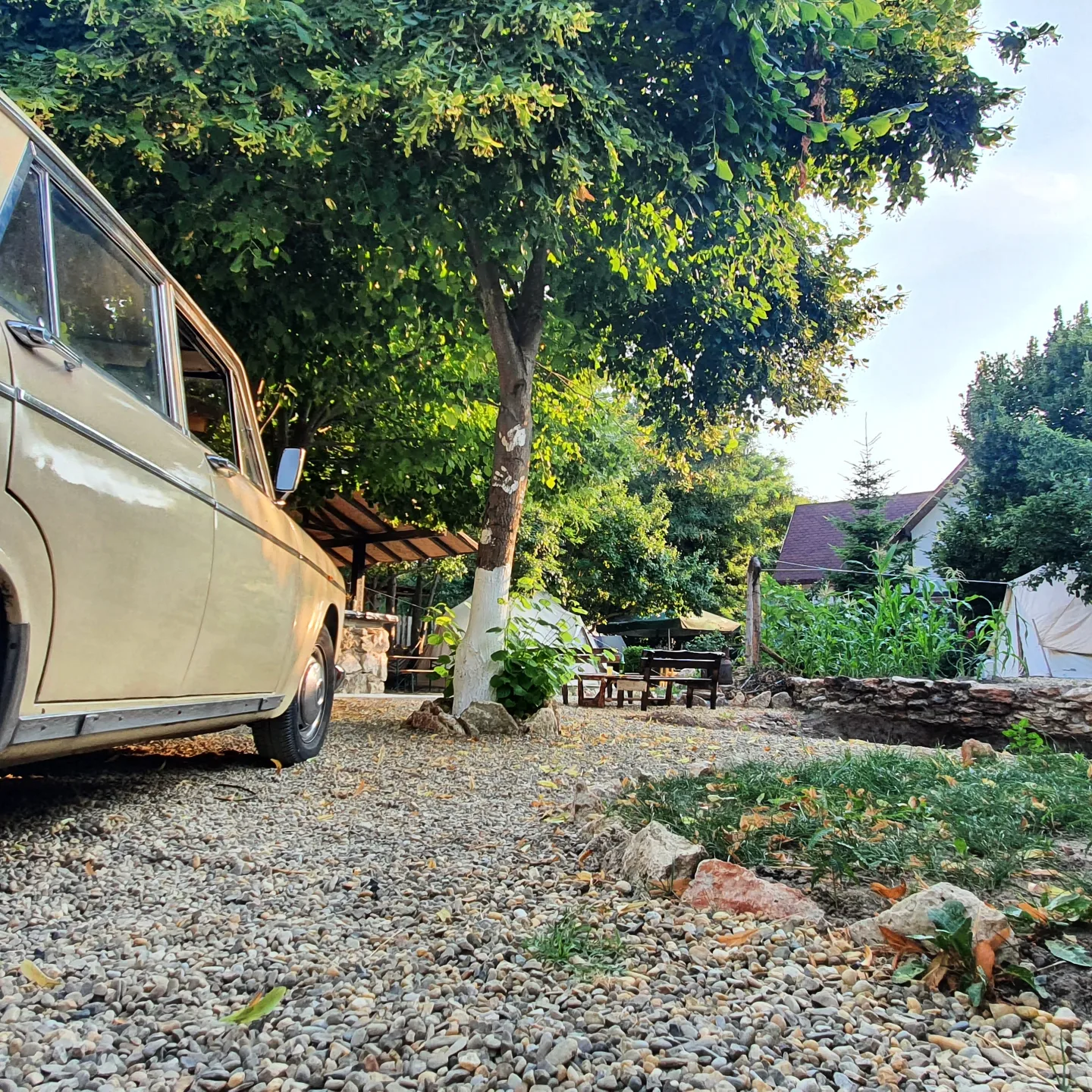 Vintage yellow Dacia in the bohemian garden at Magic Garden Vama Veche