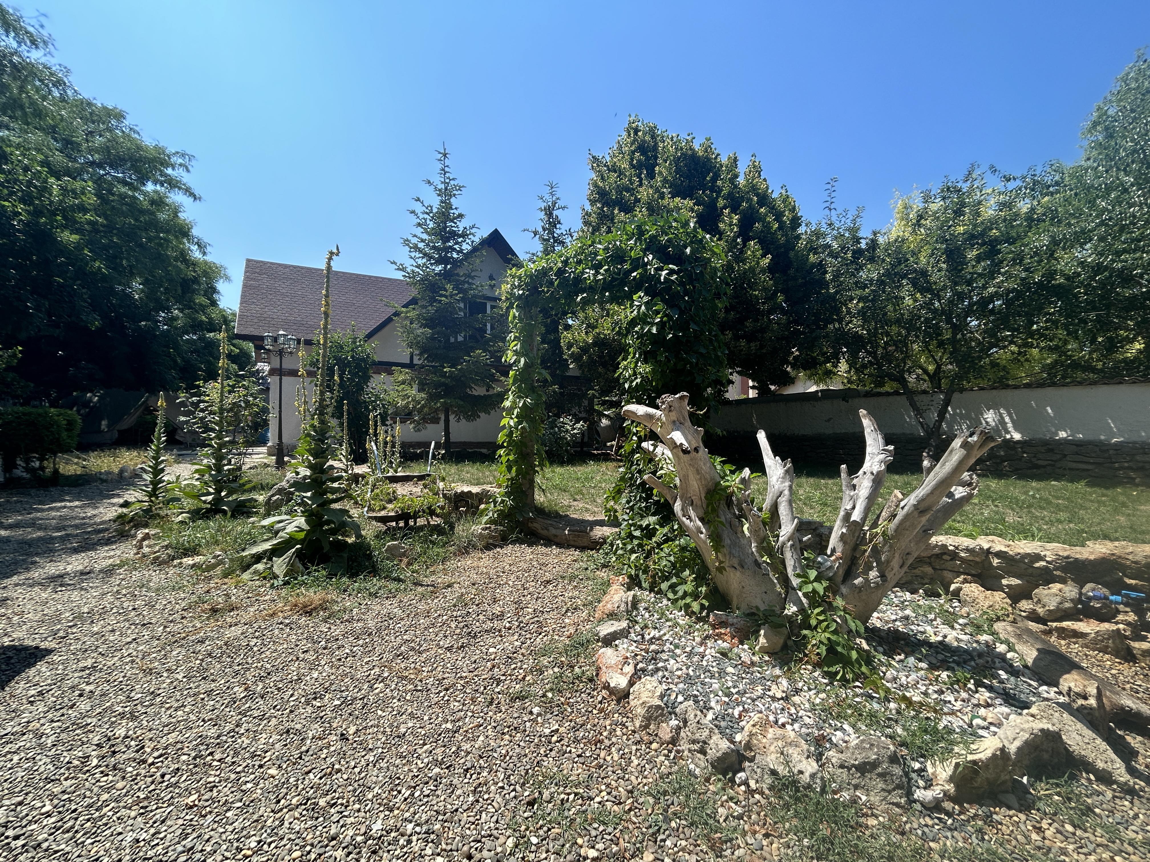 Garden with driftwood sculpture arch at Magic Garden