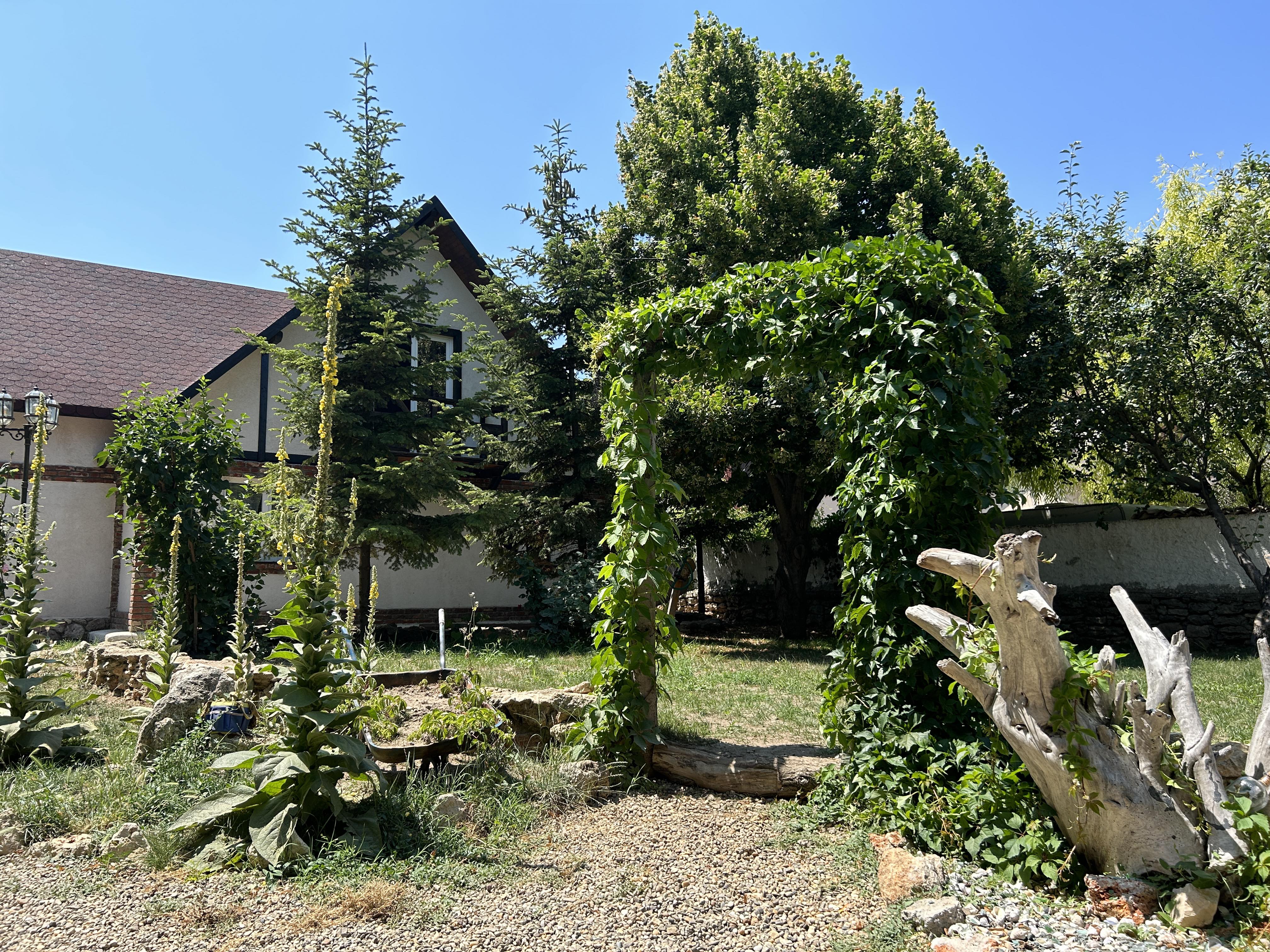 Magic Garden villa with lush ivy-covered garden arch in Vama Veche