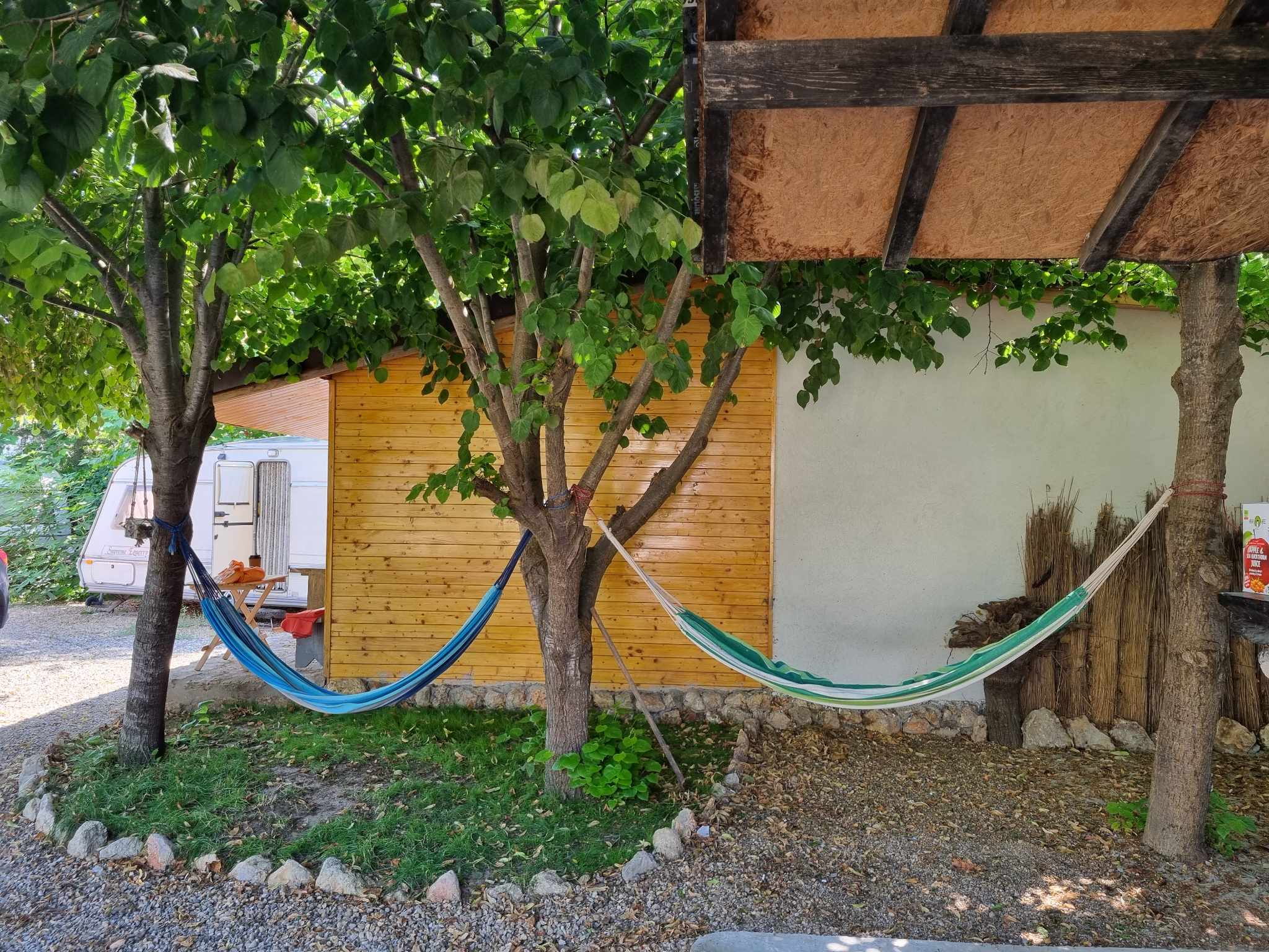 Two hammocks under mature trees in the Magic Garden bungalow area
