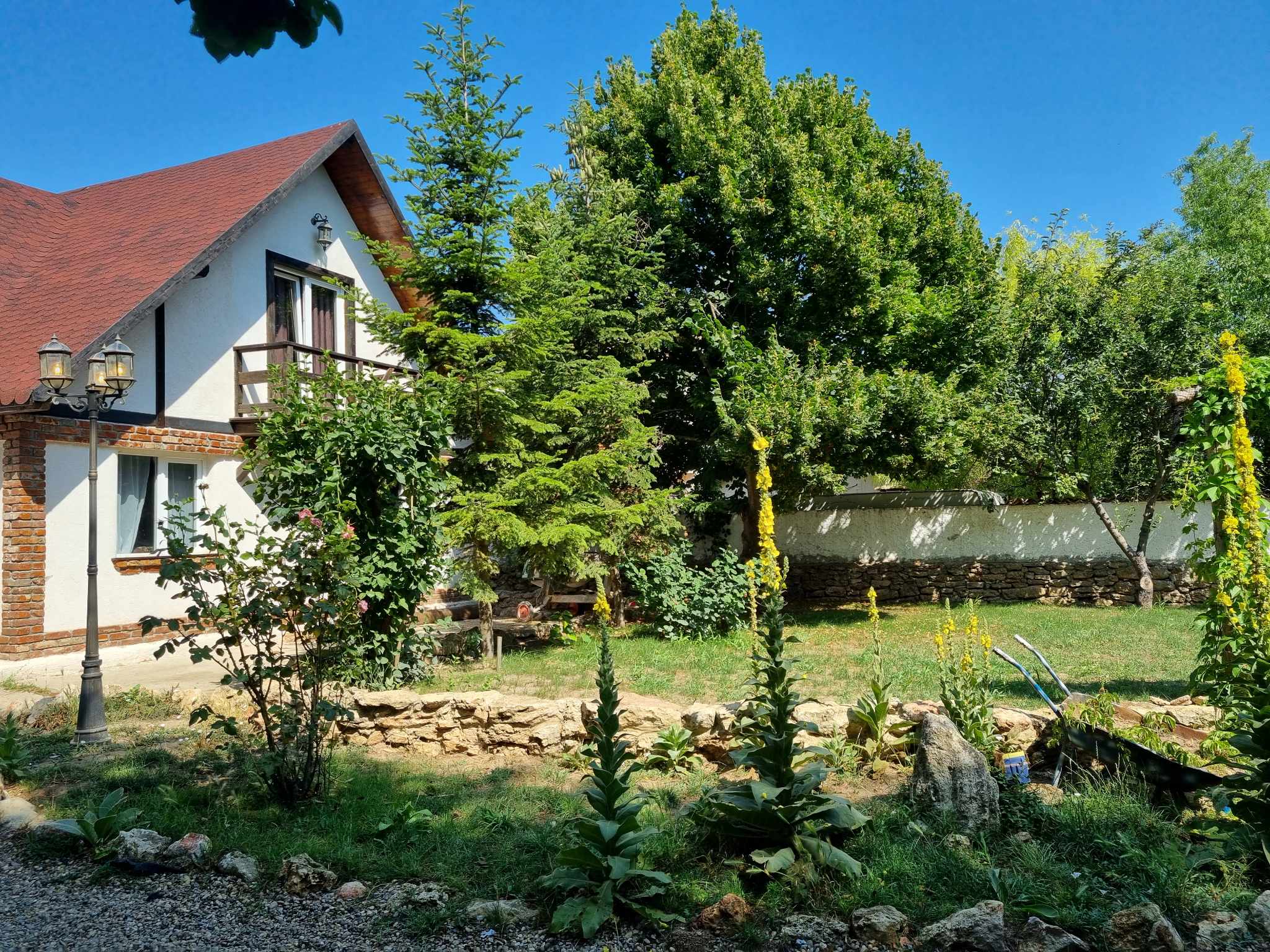 Magic Garden villa with red roof and yellow flowering plants in Vama Veche garden